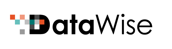 datawise-logo-kolor-rgb.jpg